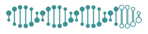 representation of a DNA strand