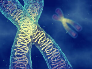 Chromosome Test