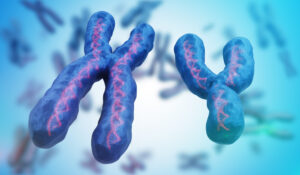 diagnosis of chromosomal abnormaliities