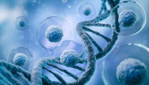 Inherited vs. Spontaneous Genetic Disorders