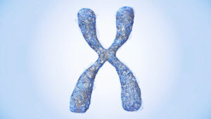 Triple X Syndrome What Parents Need to Know About the 'Super Female' Genetic Disorder 